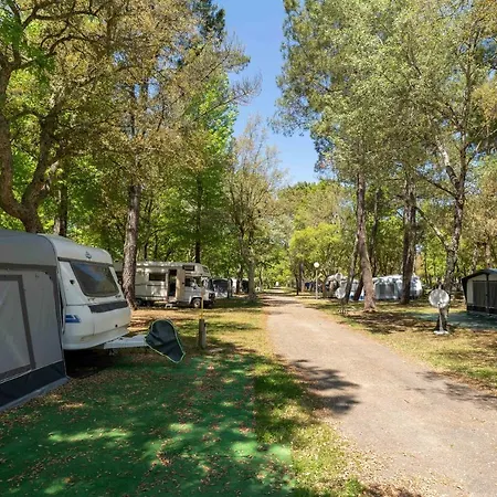 Campsite Nature L'airial