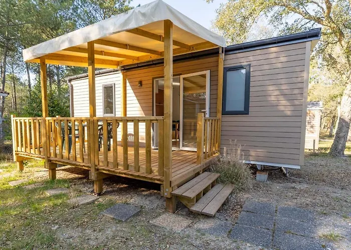 Nature L'airial 苏斯通